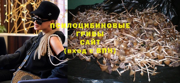 кокс Арсеньев