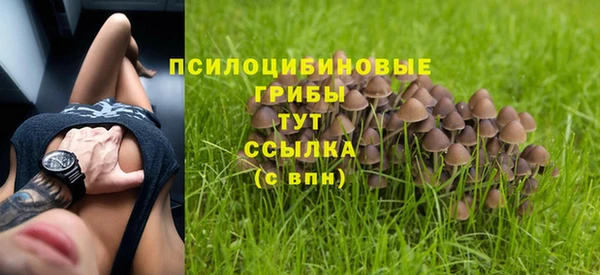 гашик Армянск
